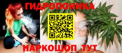 стафф Жуковский